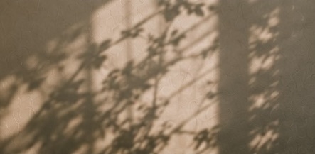 Light and shadow